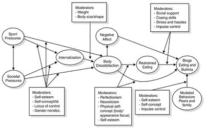 A Qualitative Exploration of Sport and Social Pressures on Elite Athletes in Relation to Disordered Eating